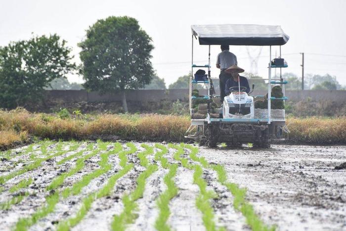 春播正當時，警惕寒潮突襲！